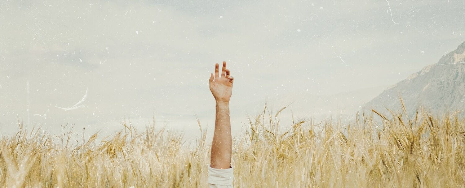We join hands with #WPGivesAHand Movement – Seven Days Of Giving Back